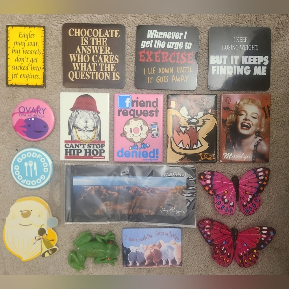 Assorted Funny Fridge Magnets